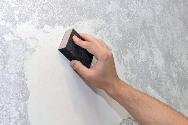 Best Industrial Mold Remediation  in Sneads, FL