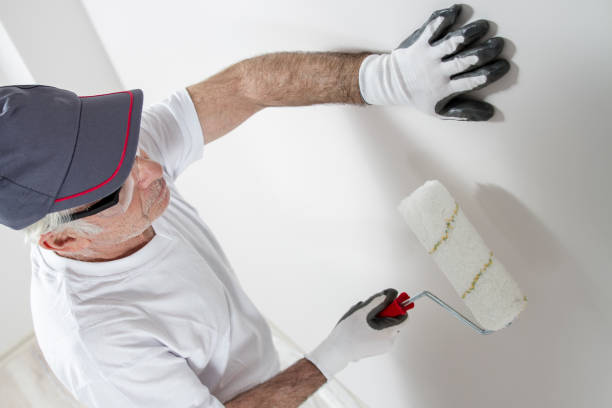 Best Commercial Mold Inspection  in Sneads, FL