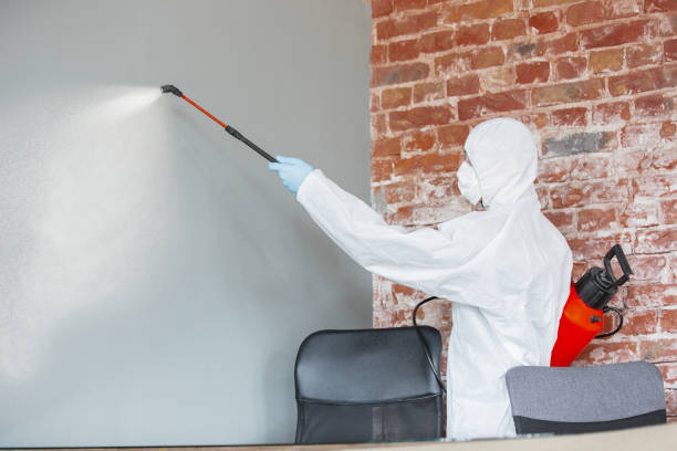 Best Indoor Air Quality Assessment  in Sneads, FL
