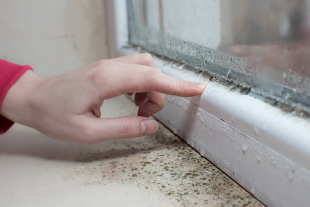 Best Post-Remediation Verification Testing  in Sneads, FL