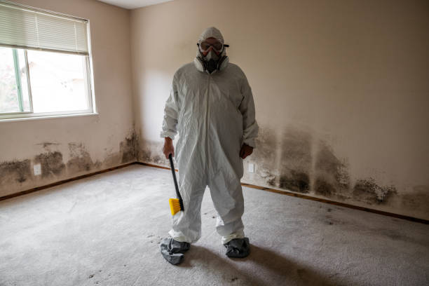 Forensic Mold Investigation in Sneads, FL